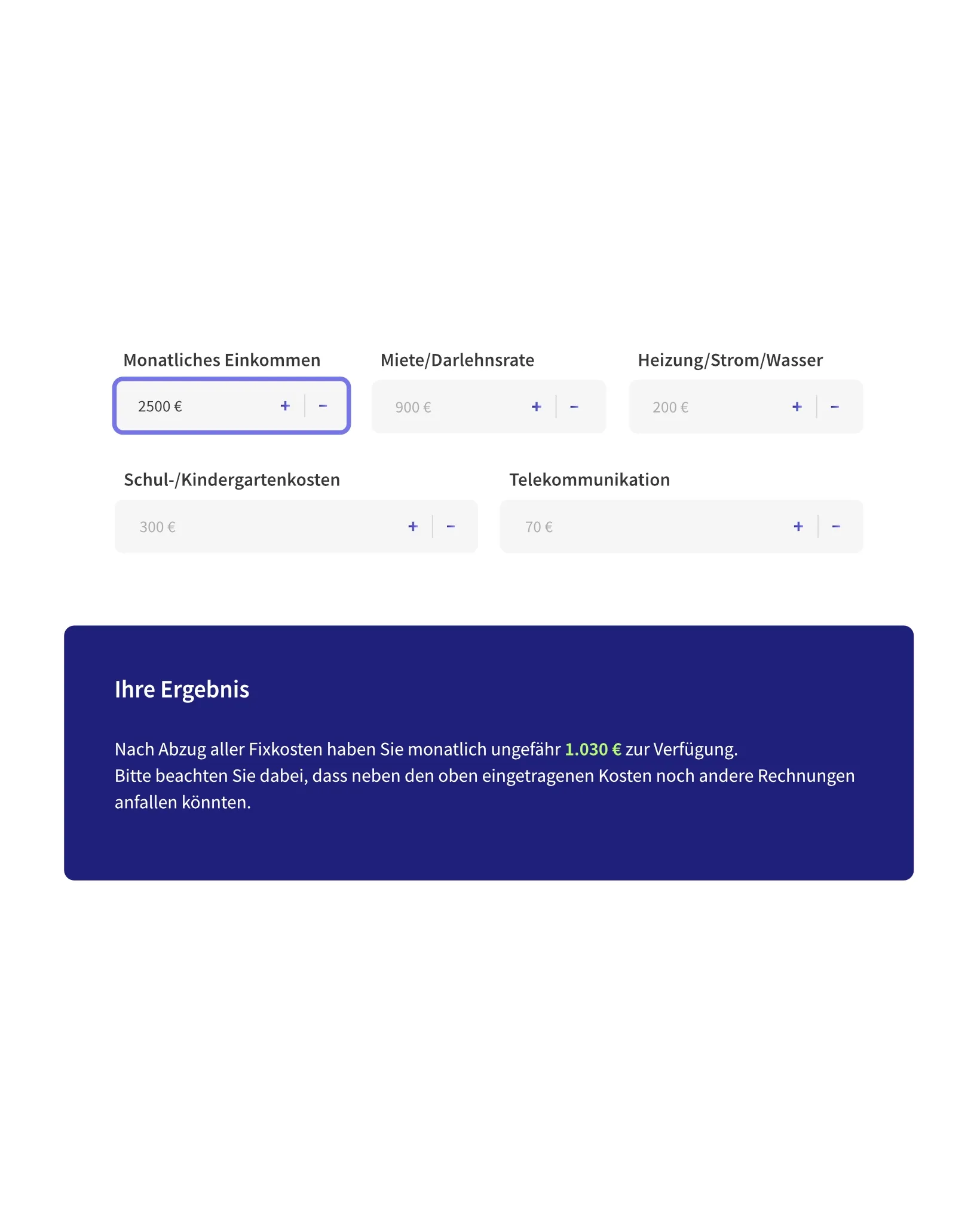 Ansicht des Einnahmen-Ausgaben-Rechners